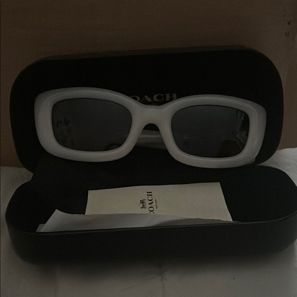 Coach Hardware Narrow Rectangle Sunglasses with Case